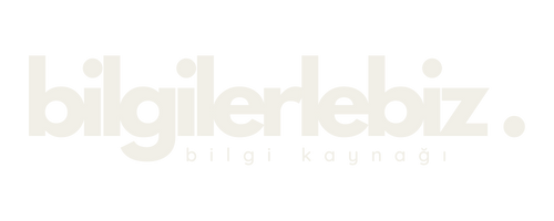 bilgilerlebiz. Logo